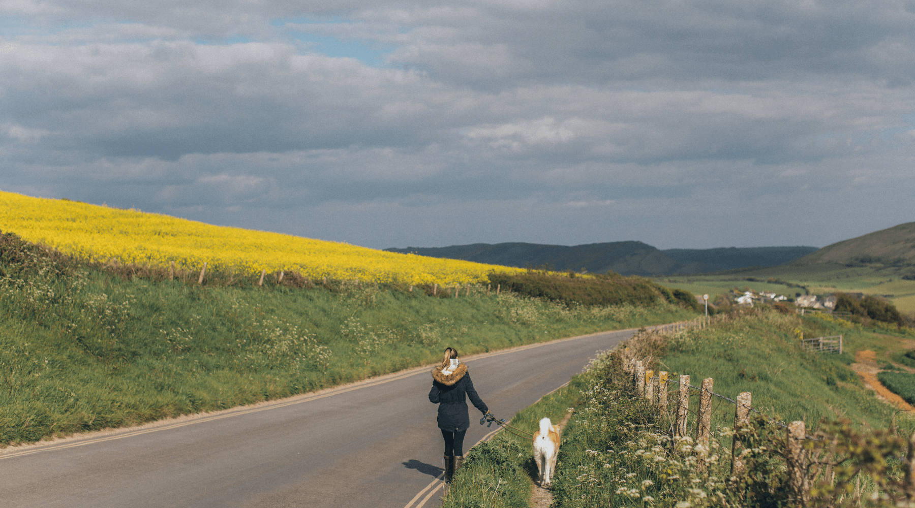 chica y perro paseando en el campo